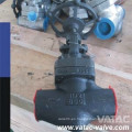 A105 Acero Forjado Cl800 NPT &amp; Sw &amp; Bw Globe Valve